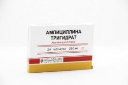 Ампициллина тригидрат, таблетки 250 мг 24 шт